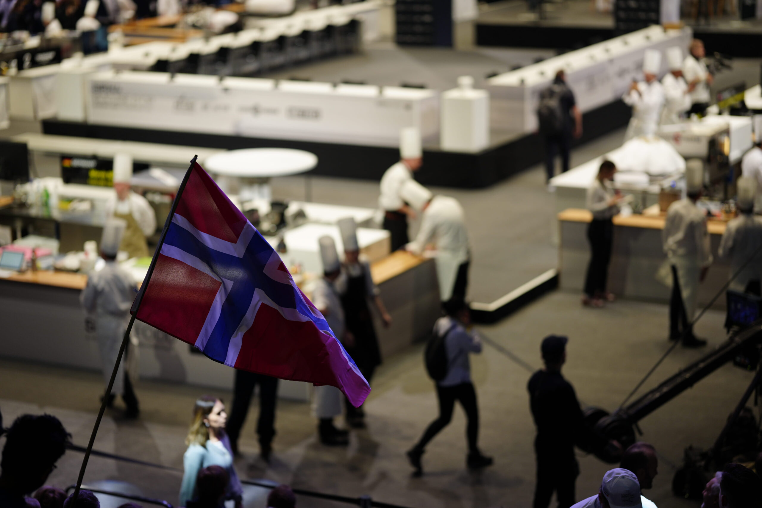 Bocusdore 2024 Trondheim