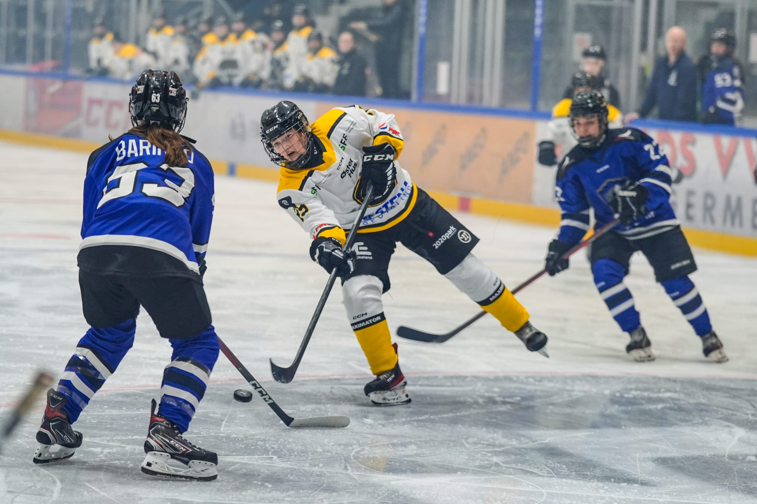 Bambosaligaen- Dame hockey 03032024