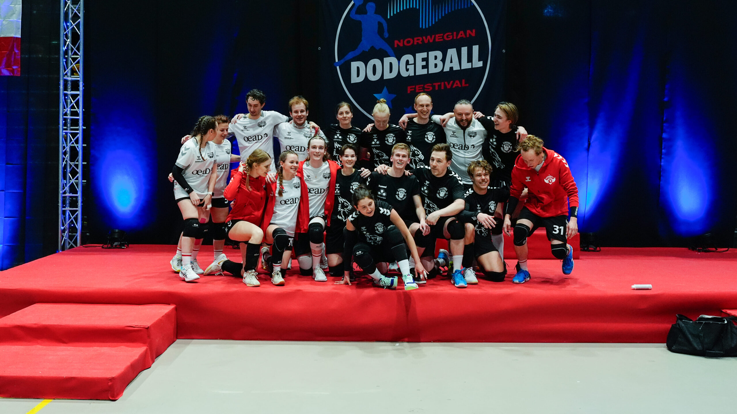 Dodgeball festival 2024