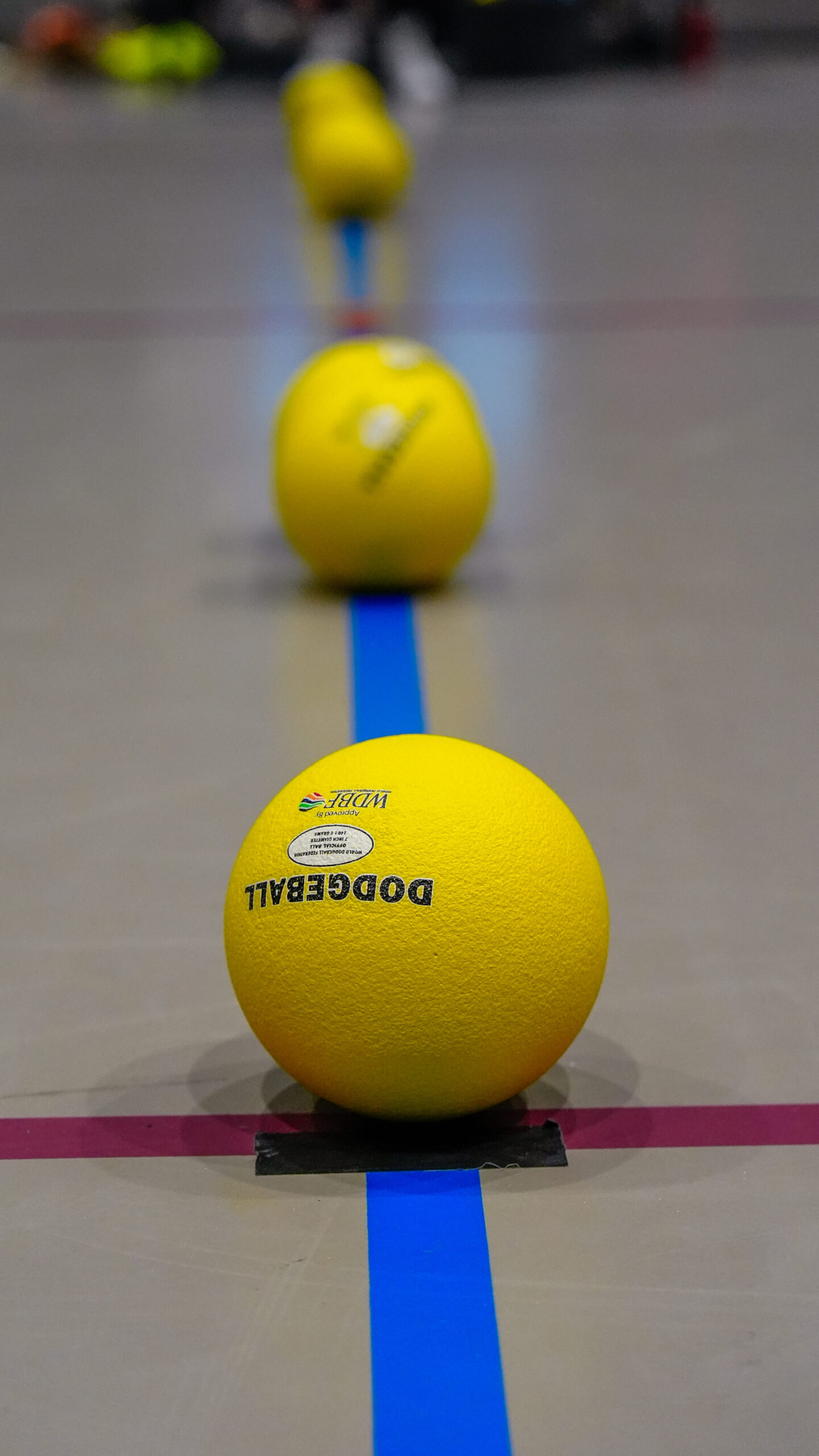 Dodgeball festival 2024