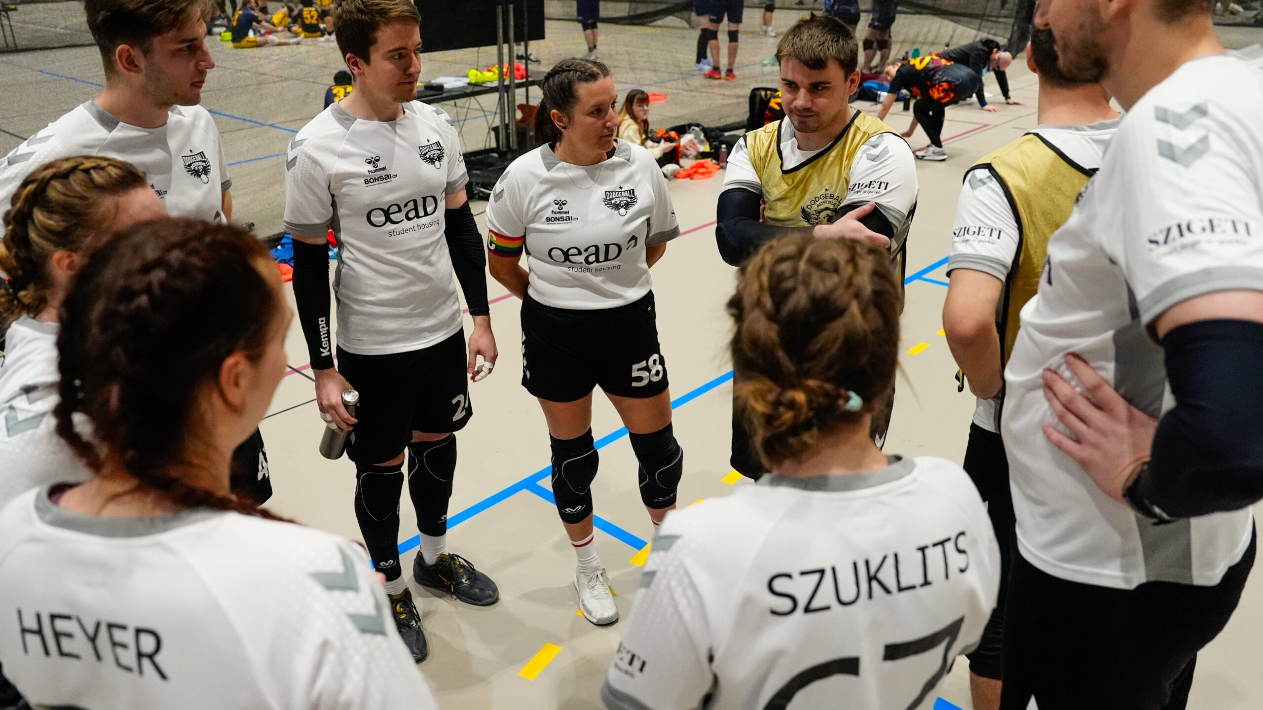 Dodgeball festival 2024