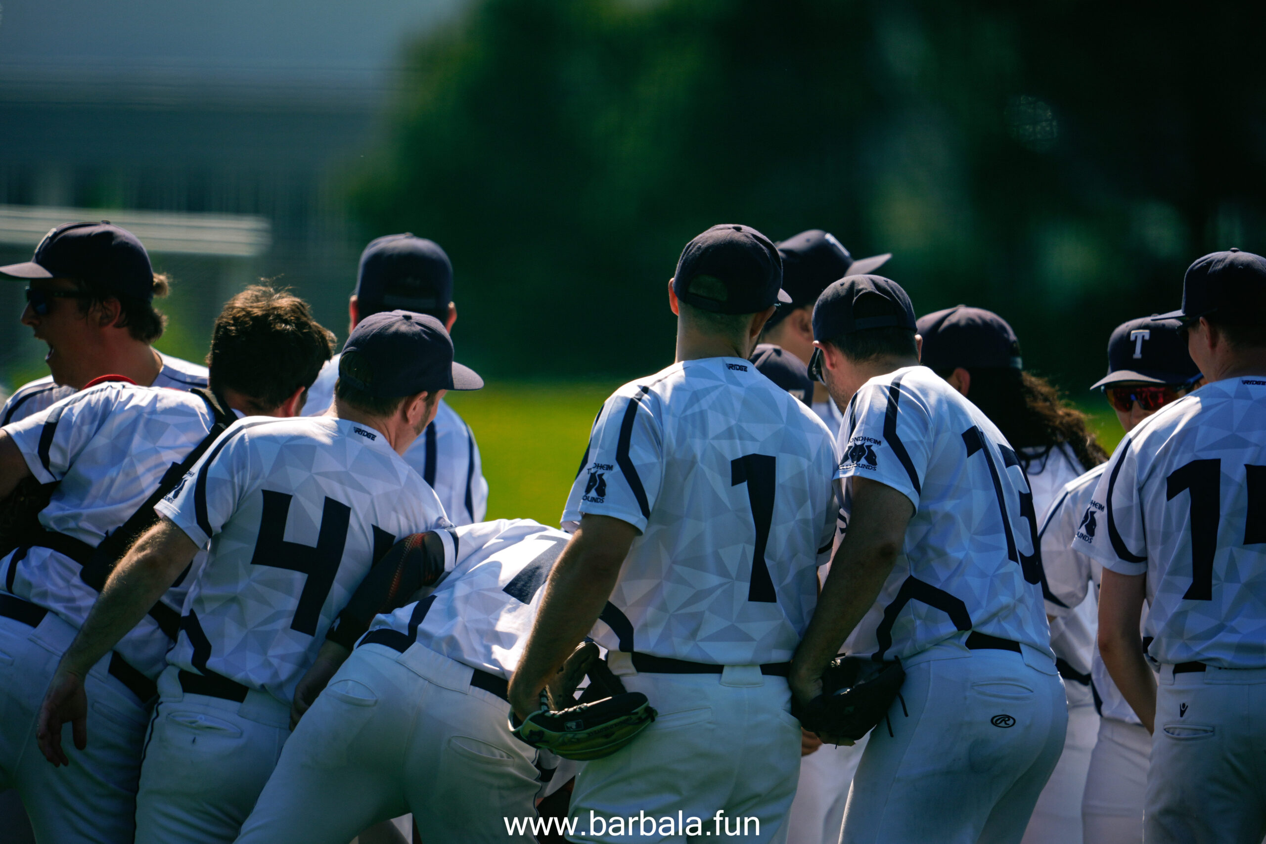 Trondehim baseball 250524