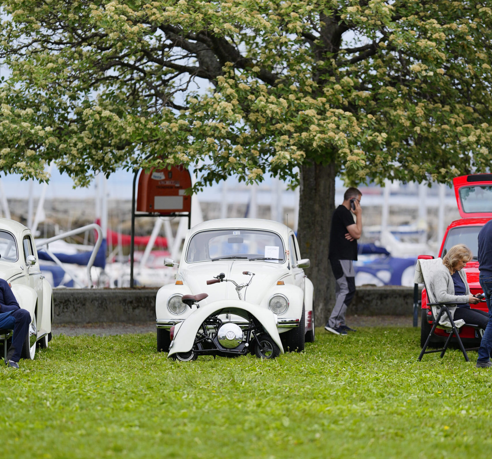 Her er det byd en en hjuling av en skjerm