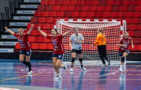 Byåsen - ravens 2024