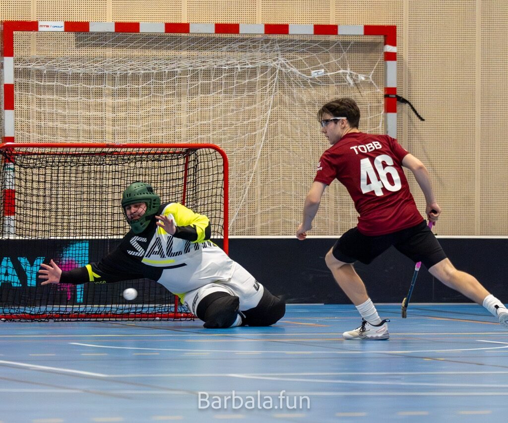 Trygg mot sjetne 130125