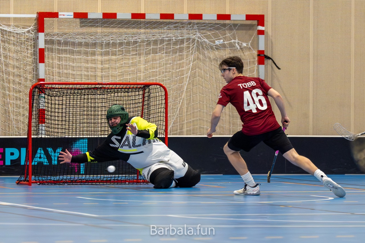 Trygg mot sjetne 130125