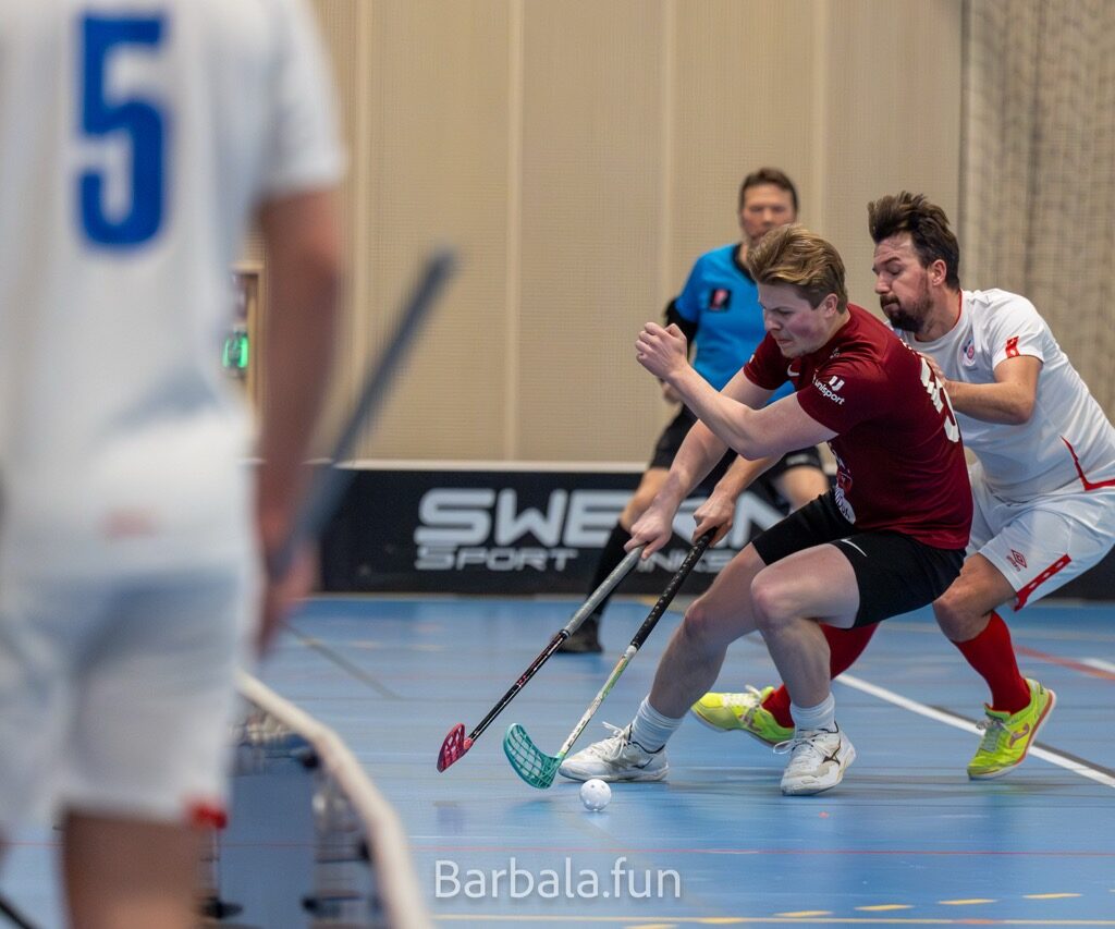 Trygg mot sjetne 130125