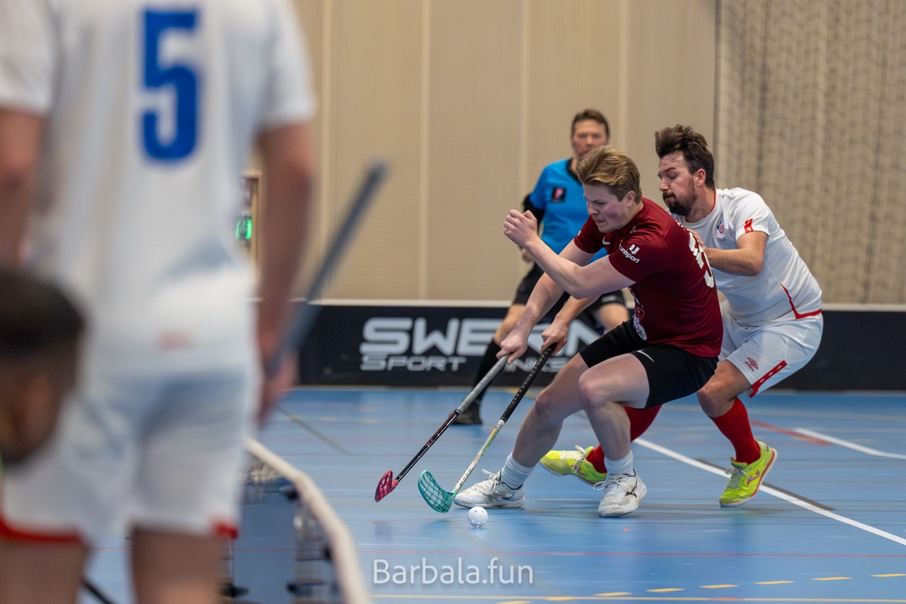 Trygg mot sjetne 130125
