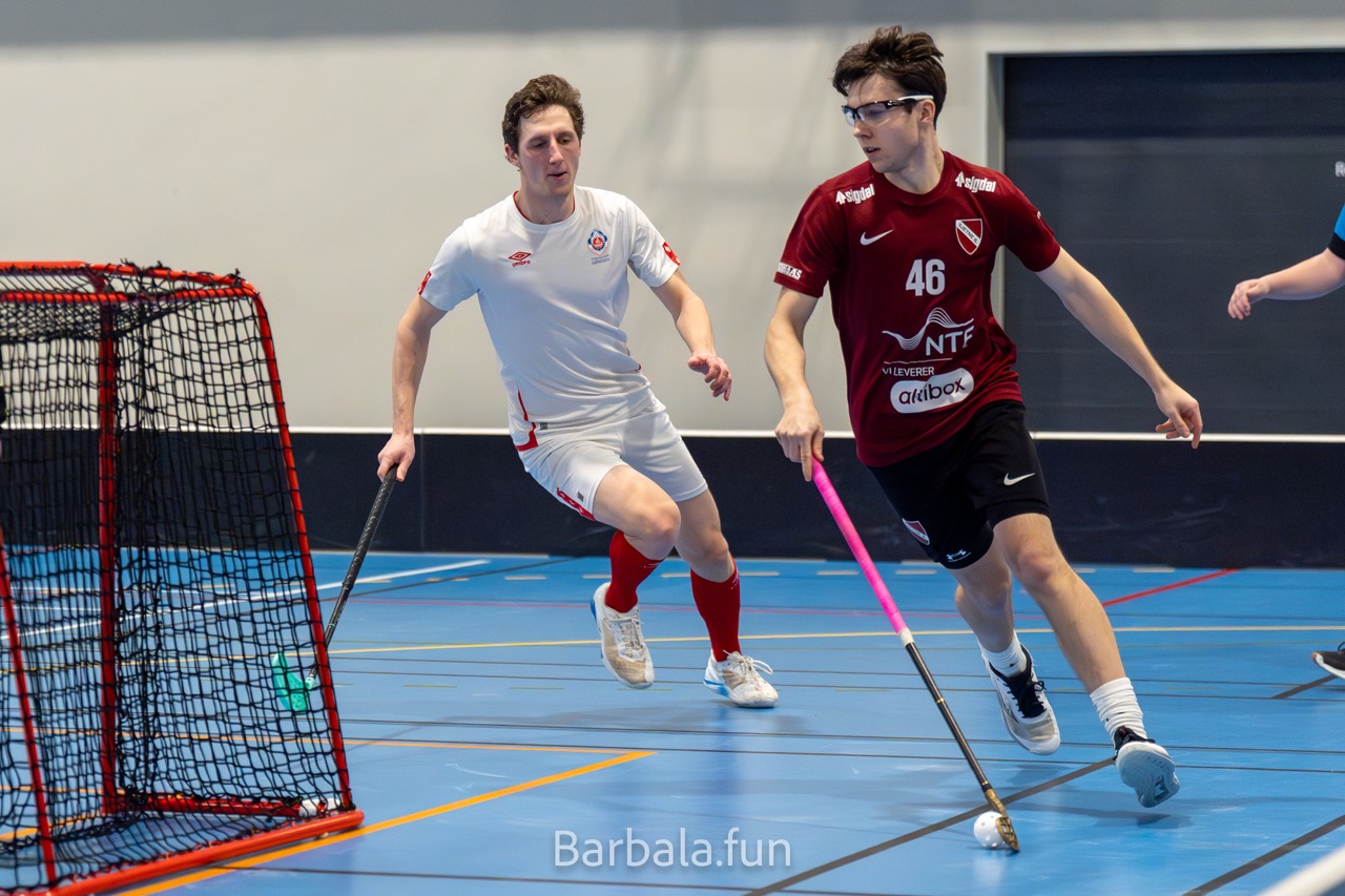 Trygg mot sjetne 130125