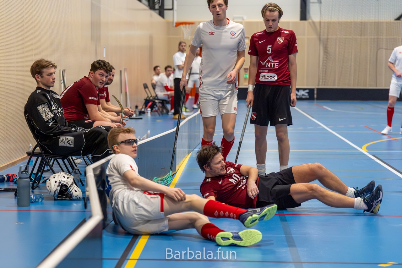 Trygg mot sjetne 130125