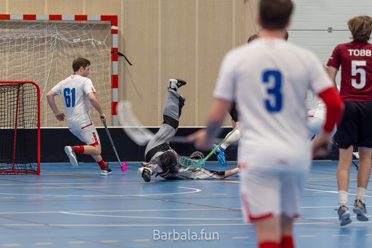 Trygg mot sjetne 130125
